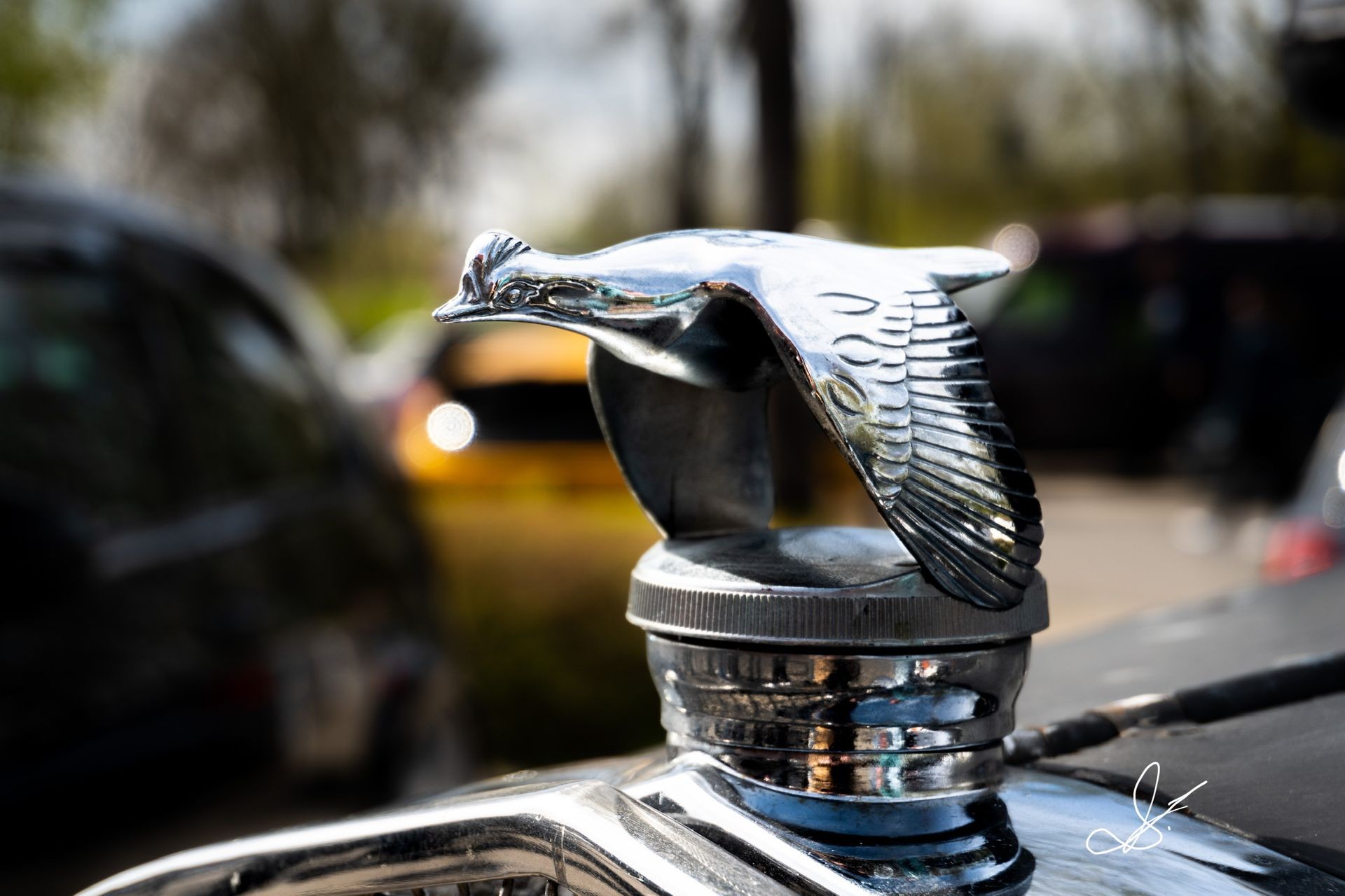 Detailaufnahme Kühlerfigur